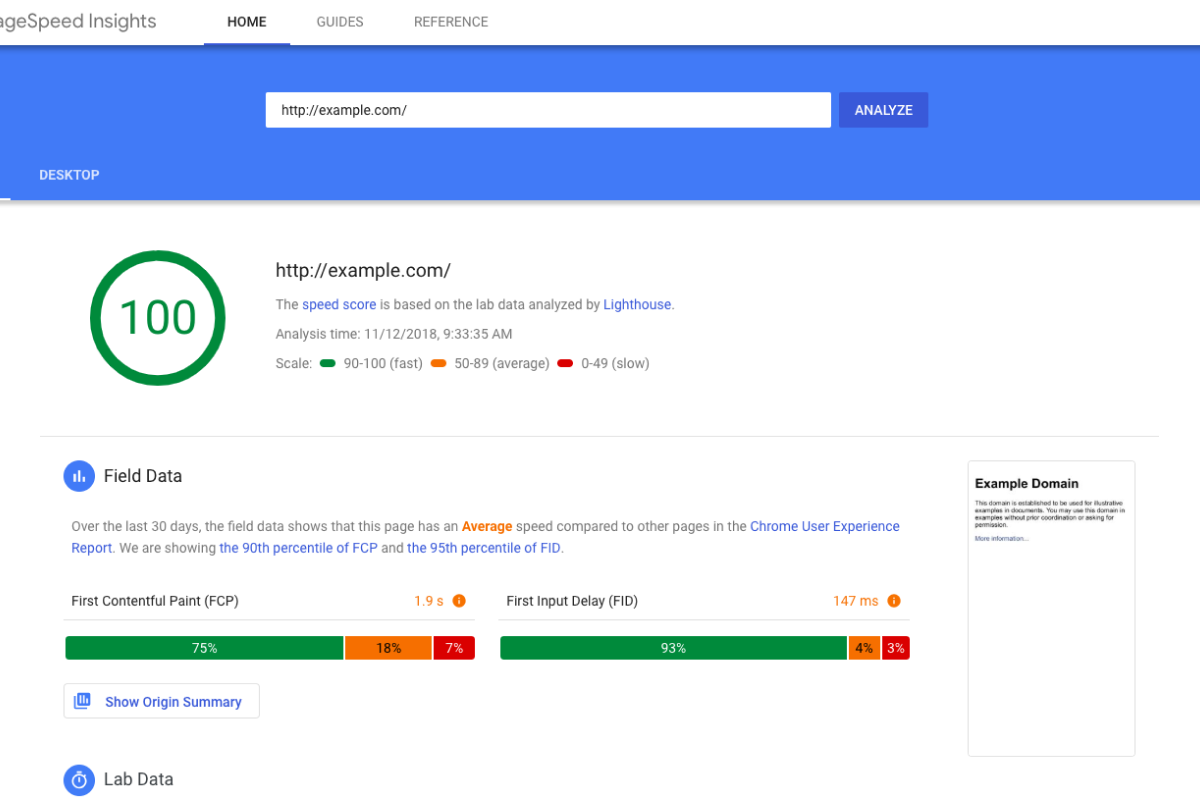 Google PageSpeed Insights showing perfect 100 performance score with detailed field and lab data used in comprehensive SEO audits for financial advisor websites